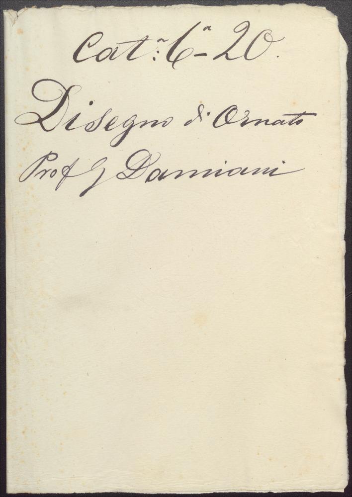 Damiani Almeyda, Giuseppe - Fascicolo docente